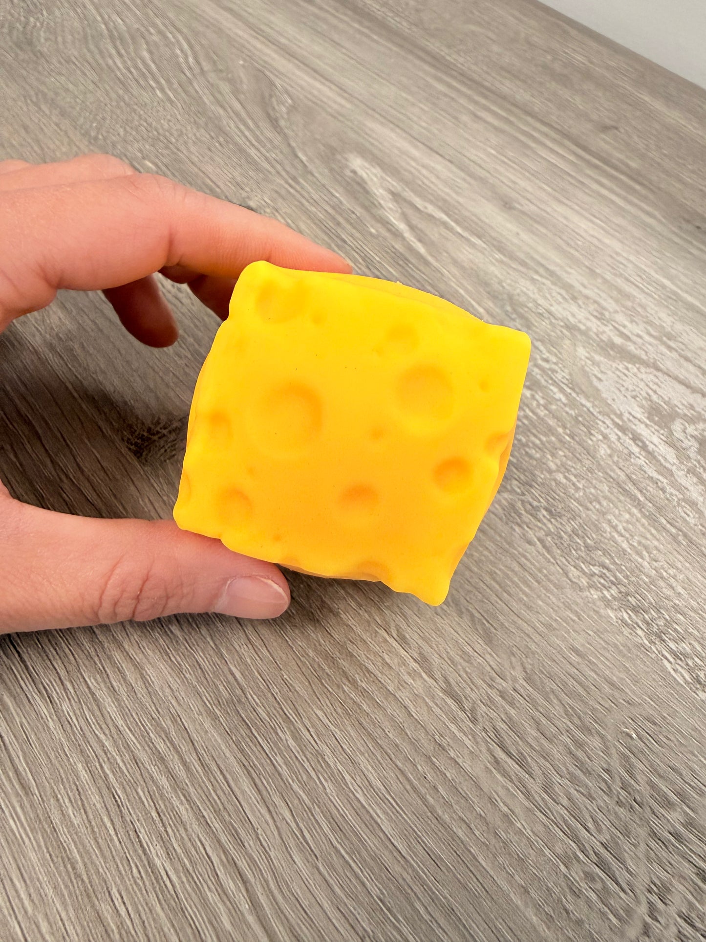 Cheese Squishy Toy