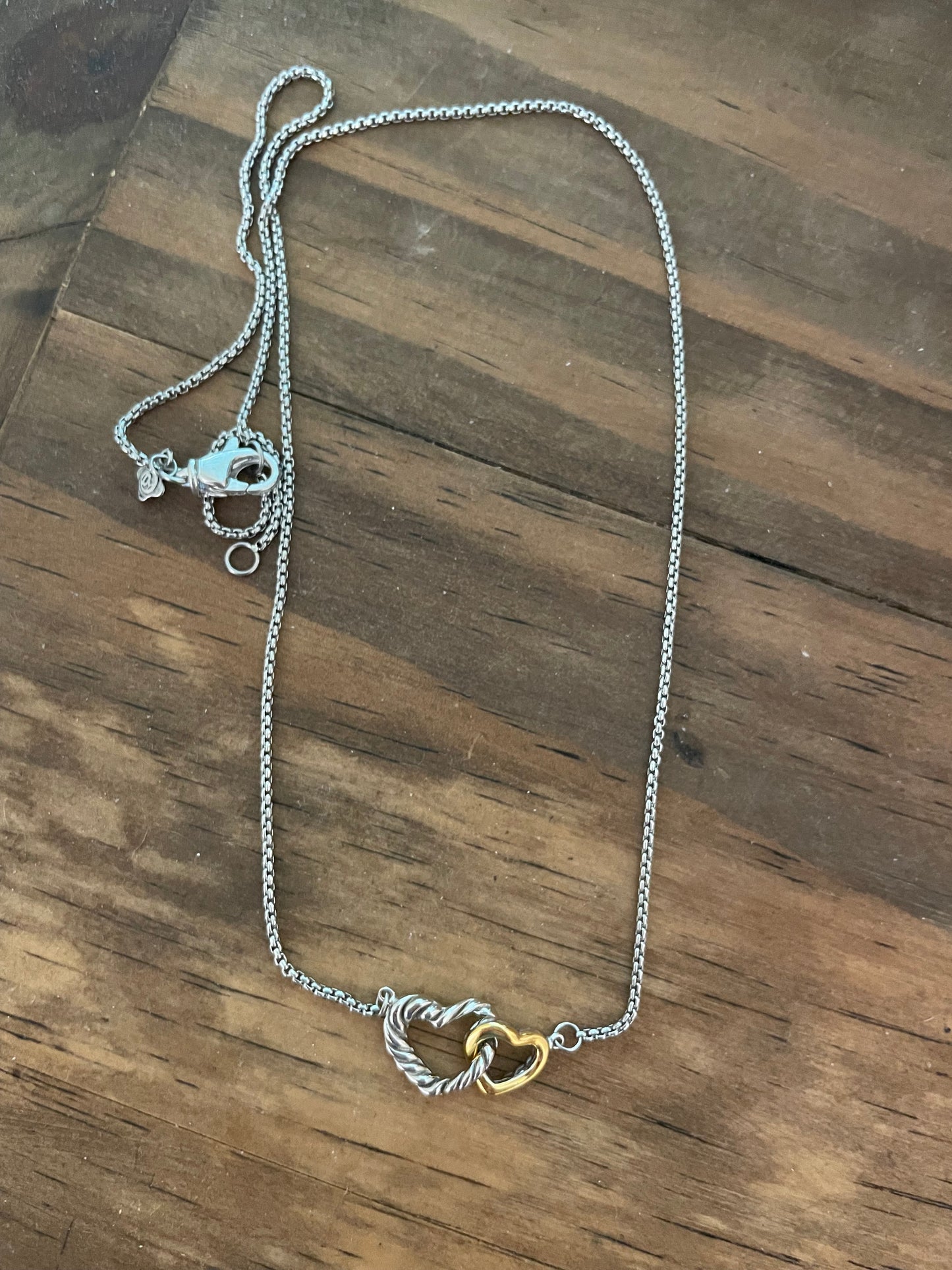 Double Heart Necklace (dy)